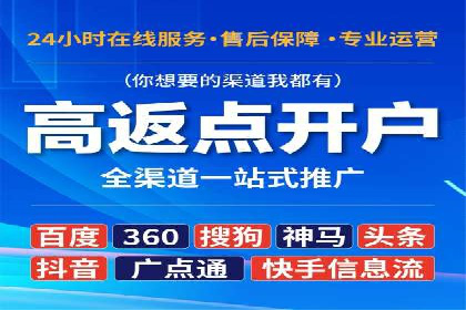 竞价广告的投放策略与网络推广的实践案例